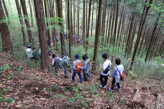 第7セクションから第8セクションに向かう山道散策コース。