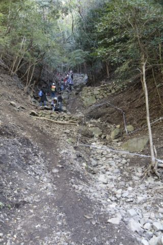 第7セクション。